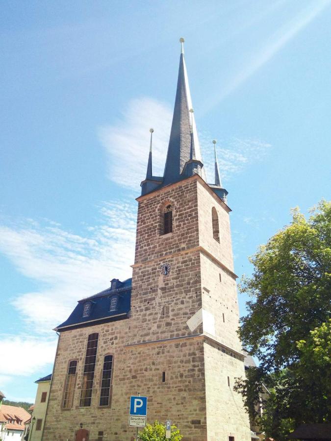 Schoene Gemuetliche Ferienwohnung Am Saaleradweg Grosseutersdorf المظهر الخارجي الصورة